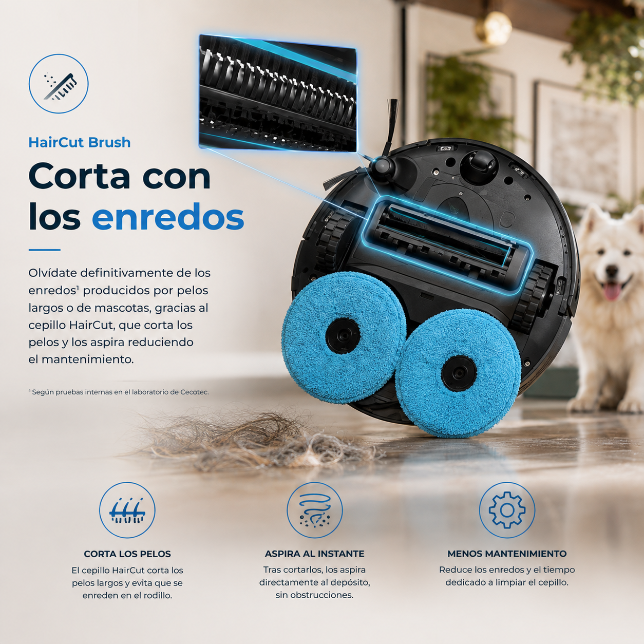 Conga X100 – Tu Casa Limpia. Sin que Tú Hagas Nada